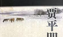 贾平凹：好读书