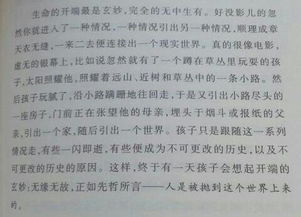 美丽句子的摘录