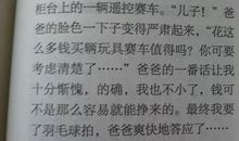 写人作文：音乐之母—何老师