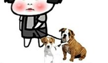 用形影不离造句