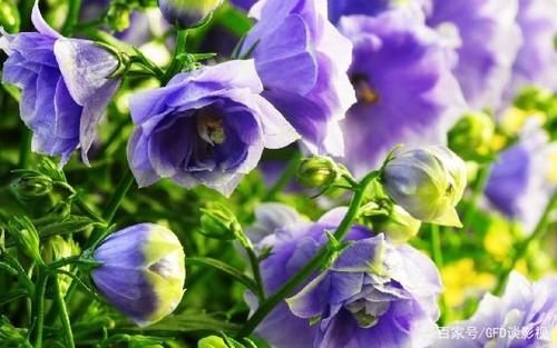 鼓舞人心的句子