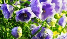 给人启示的语句