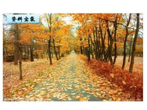 初秋花园的诗意味