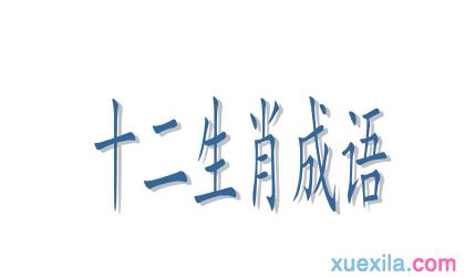 关于十二生肖的成语