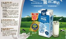 关于奶制食品广告语