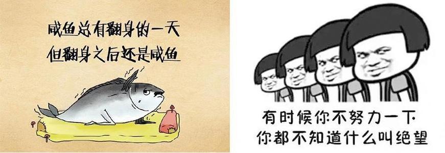 经典语录：你不能单身且肥胖为两个