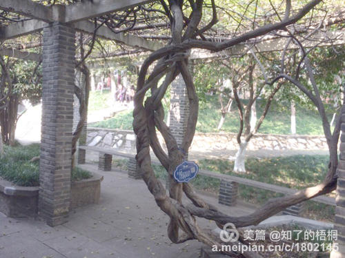 余秋雨：吴江船