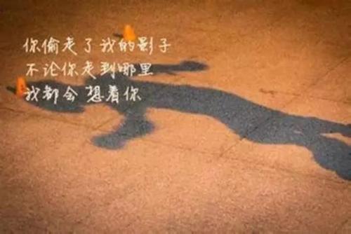 看书后偷影子的人