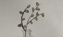 城东早春的诗意