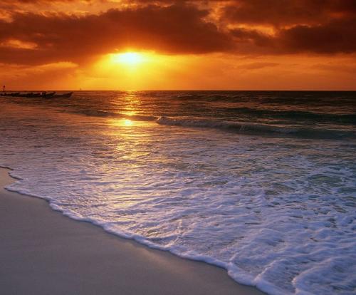 经典语录：多少只蝴蝶不能飞过海洋，所以许多现实击败了爱情