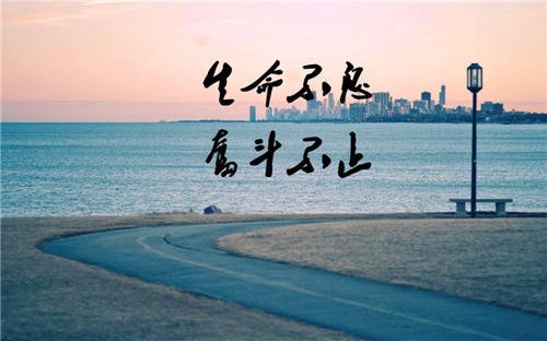 关于理想的好句子