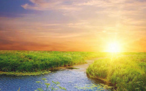 关于爱情的成语