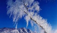 形容冬天冷的句子