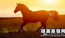 和马有关的成语