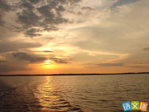 收集最美丽的句子