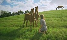 认真生活的人不会输