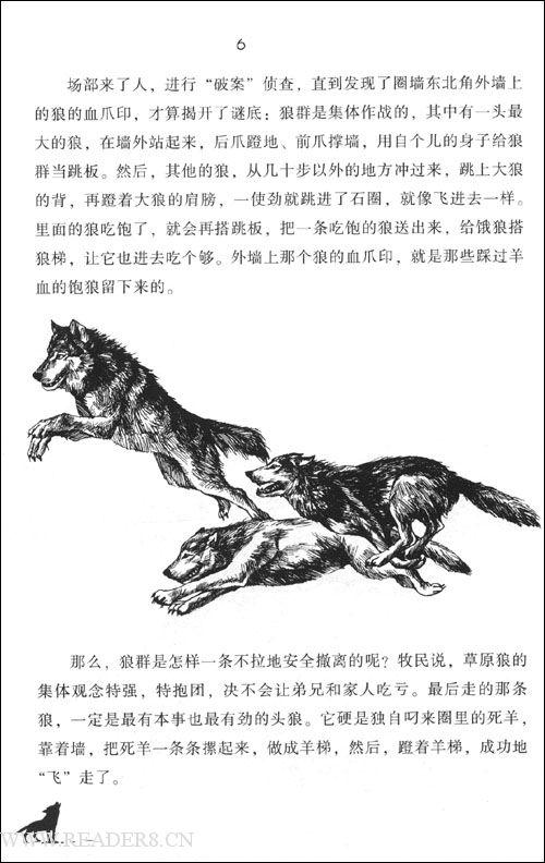 看完狼图腾300字