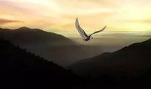 你的眼界，决定你的全世界