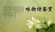 咏物诗大全