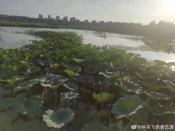 充满活力的句子