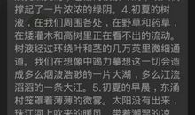 夏天的句子有哪些