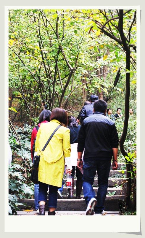 刘占秋:在凋零的树林里散步