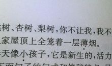 表示看的很淡的句子