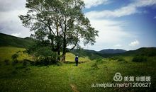 读《爬到山顶去》有感