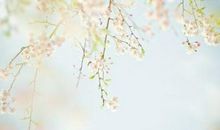 向往幸福的个性签名