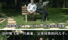 最近很火的一个故事，分享给你！