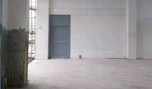 用顾名思义造句