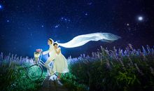 我想用我的全部，换取一条通往你心里的路