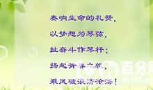 初中毕业班主任寄语