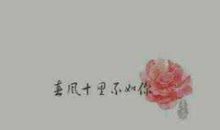 张小娴：你就相信吧