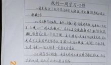 初二上学生期末评语