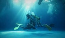 每一个商界领袖都有一个彪悍的童年