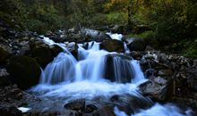 父母跋山涉水来看我