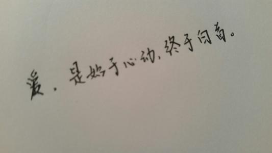 经典语录:爱始于心跳,始于被动