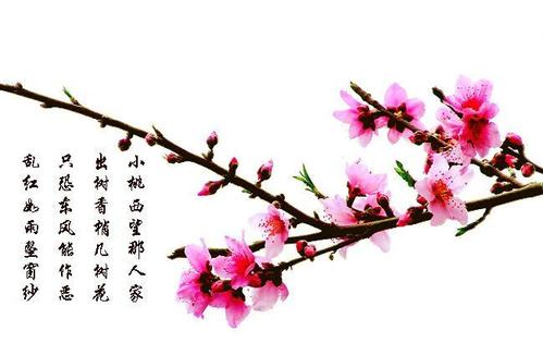 描述甜美的句子