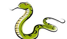 与蛇有关的成语