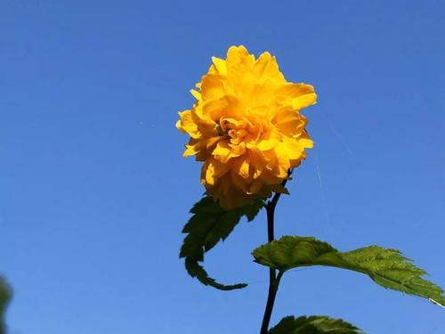 生活五天的每一天