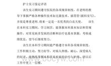 护士实习评语大全