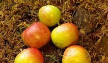 写给我们这些20来岁的人