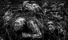 由贫困想到《活着》