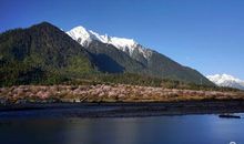 你为什么不敢选择自己想要的生活？