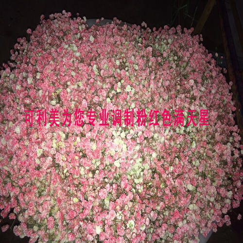 经典语录：抬头望望满是星空的天空，但想着某个彩虹