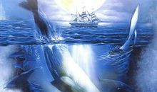 读海底两万里有感1000字