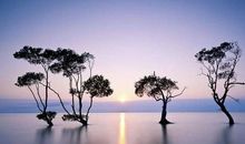 触动心灵的微博句子