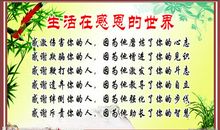 感恩朋友的名人名言