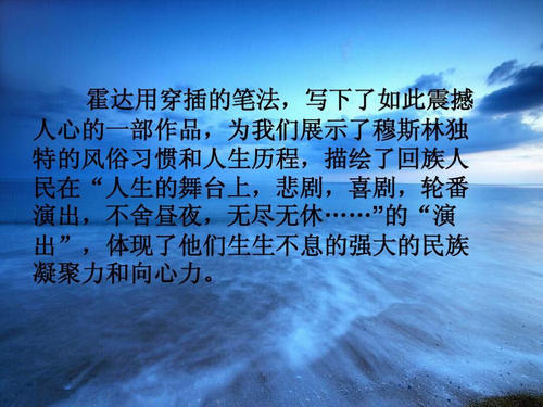 阅读《穆斯林葬礼》后的感想